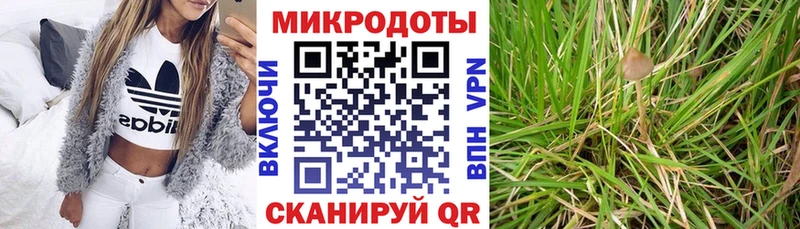 дарнет шоп  Морозовск  Галлюциногенные грибы Magic Shrooms 